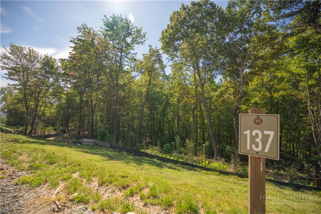 Image number 1 for the current listing