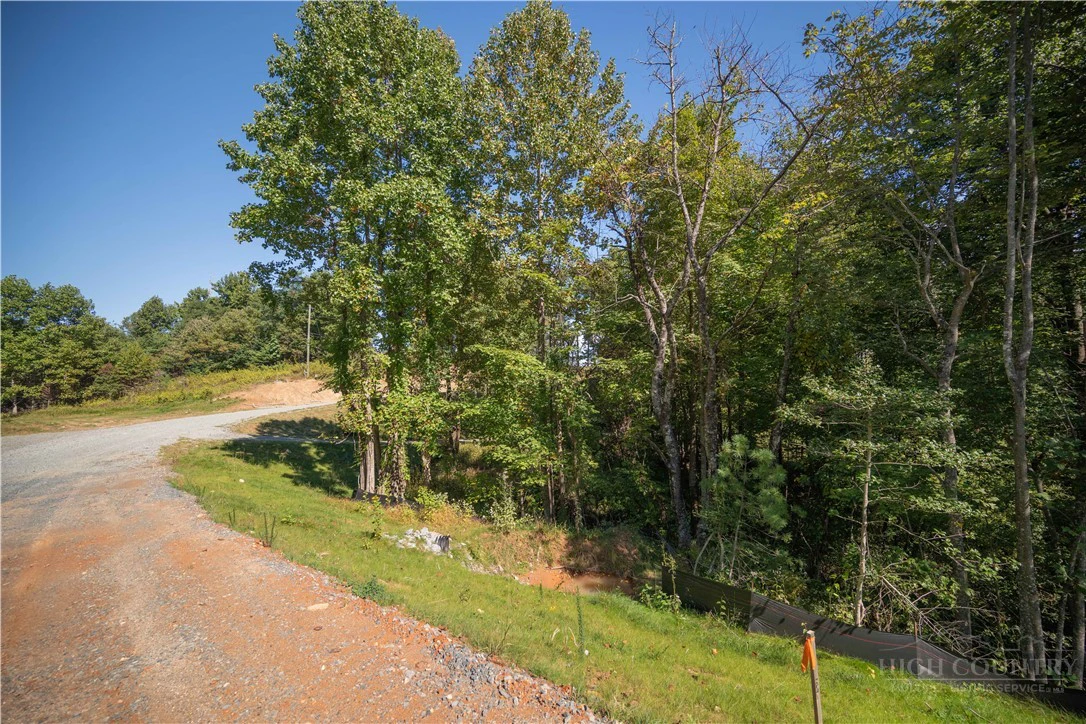 Image number 3 for the current listing
