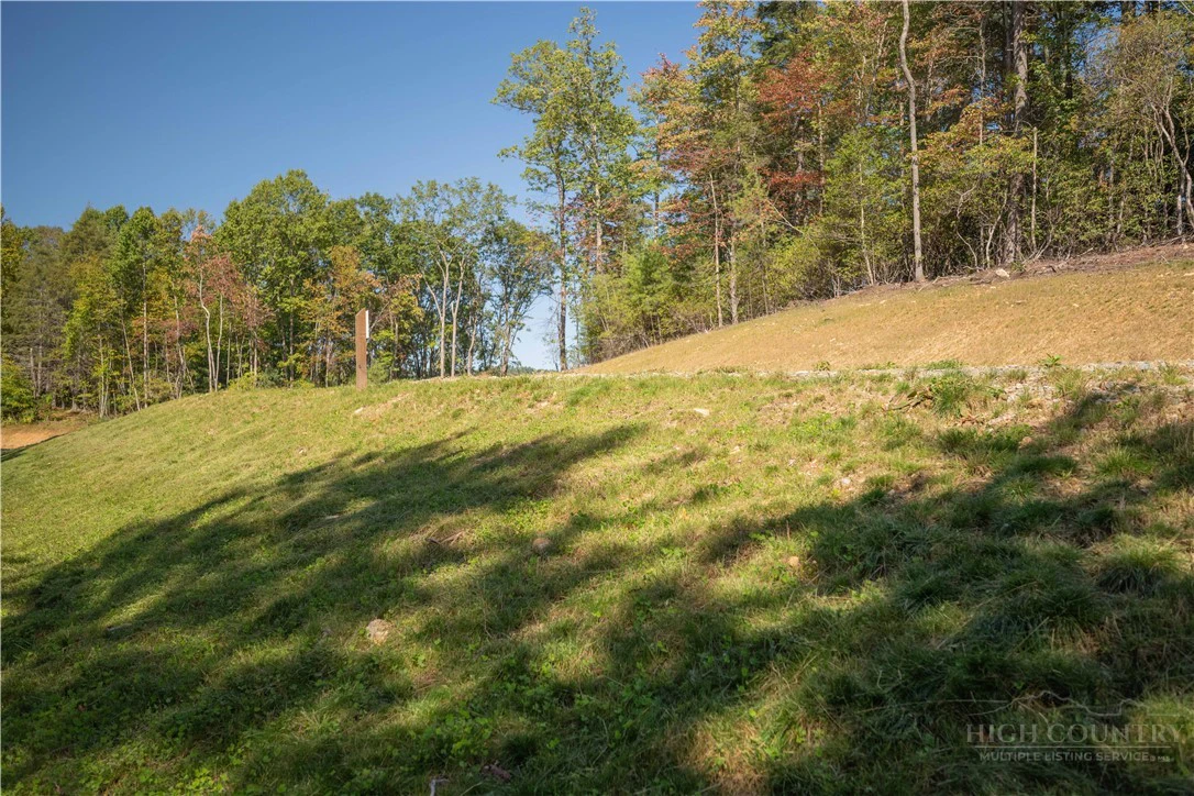 Image number 4 for the current listing