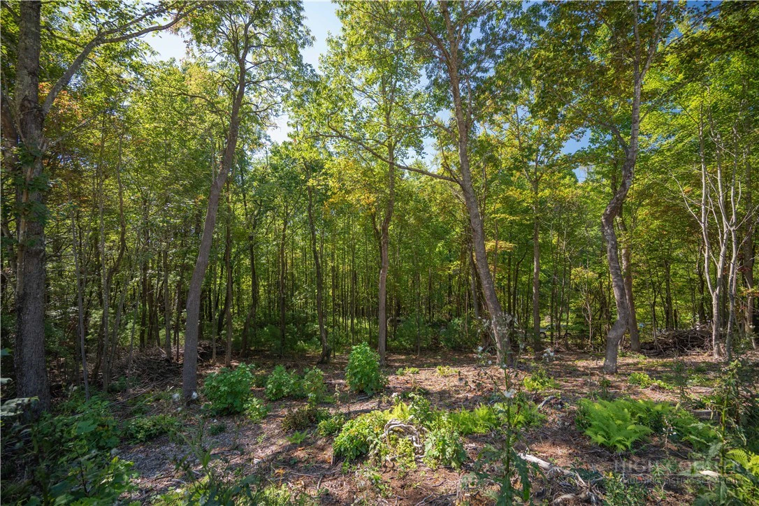 Image number 6 for the current listing