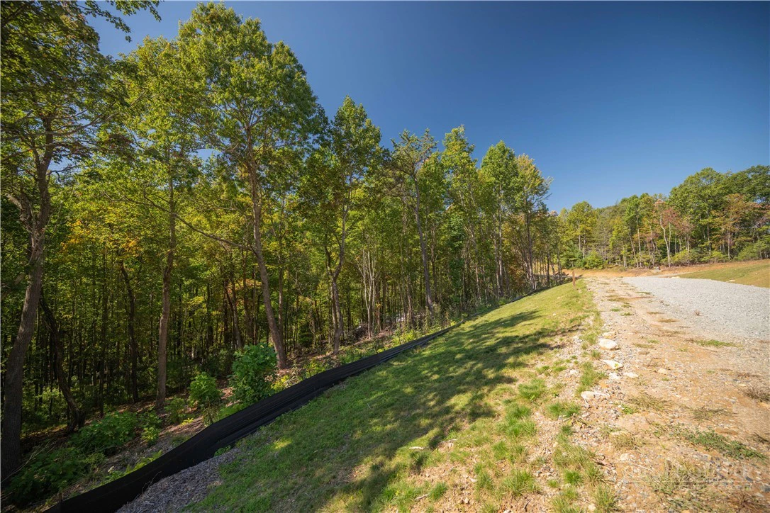 Image number 7 for the current listing