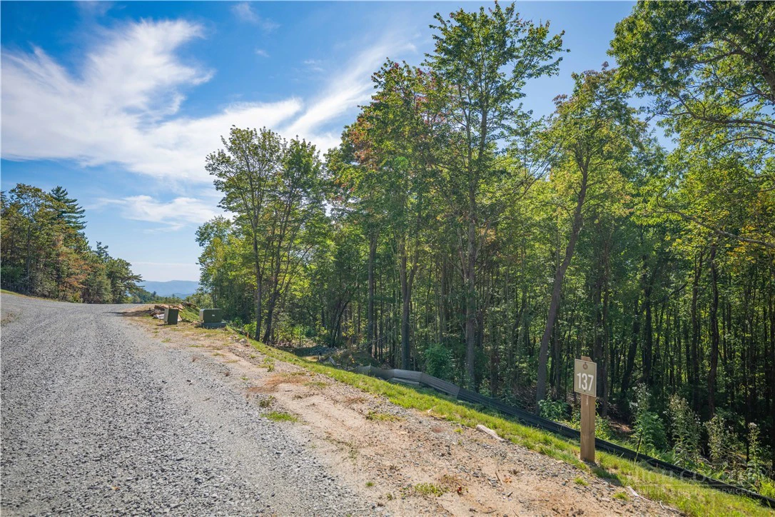 Image number 8 for the current listing