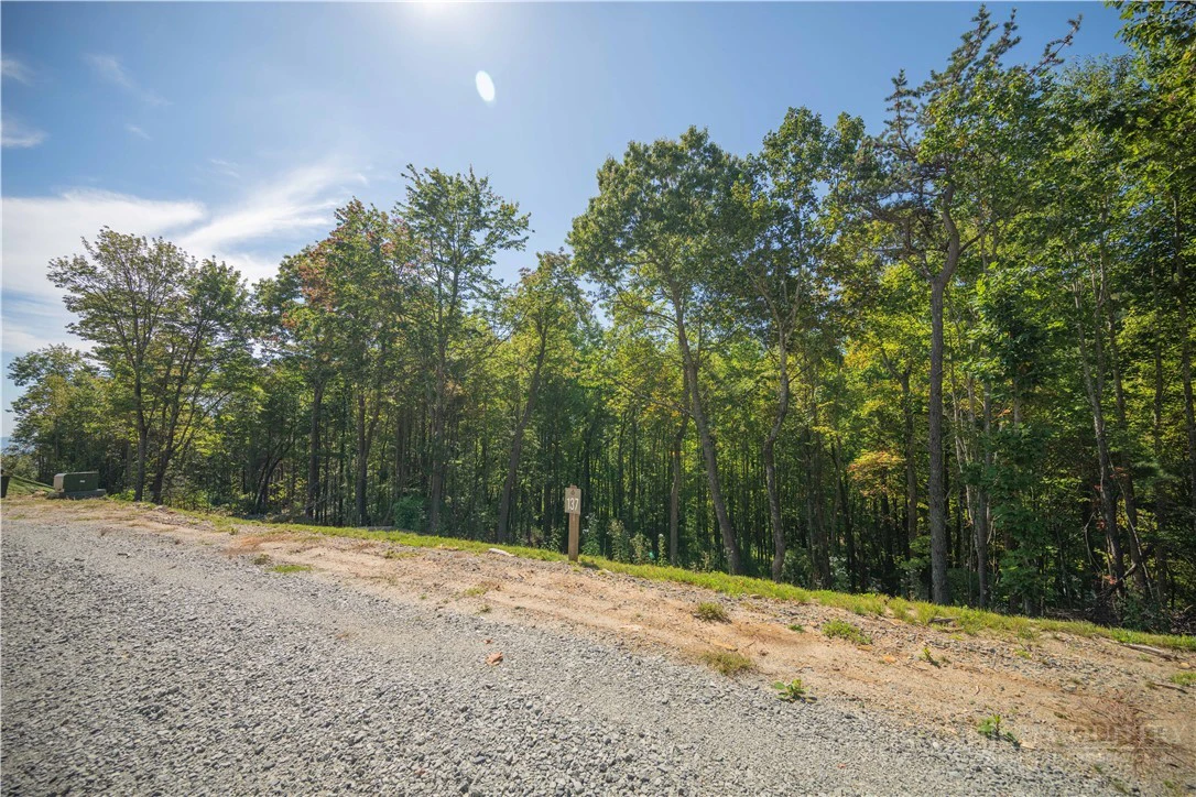Image number 9 for the current listing