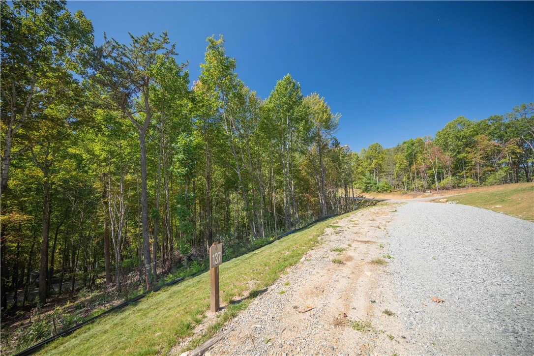 Image number 10 for the current listing