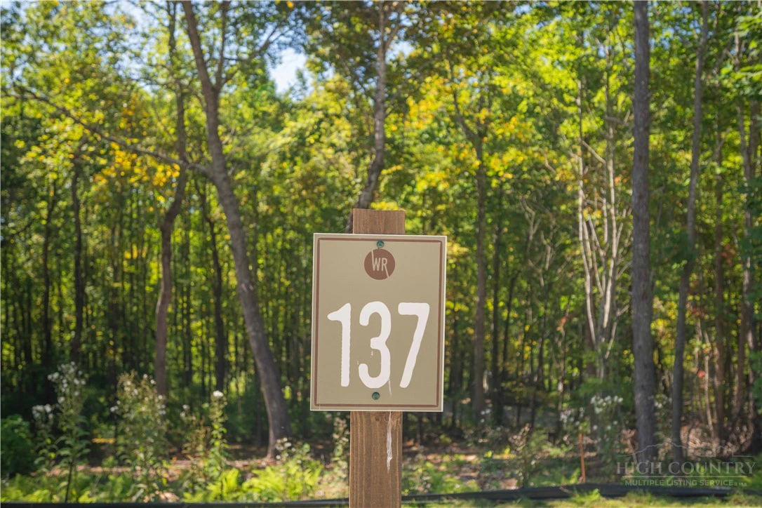 Image number 12 for the current listing