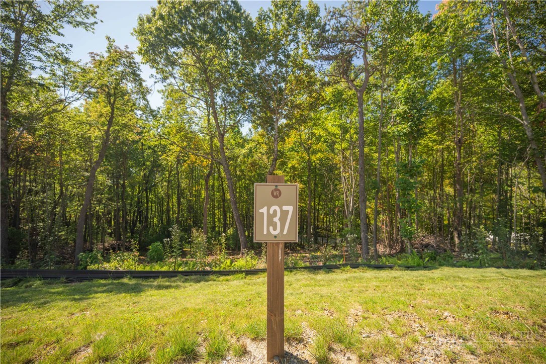 Image number 13 for the current listing