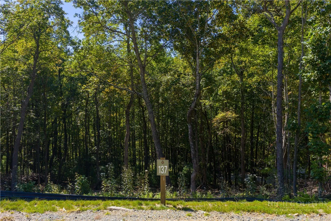 Image number 14 for the current listing