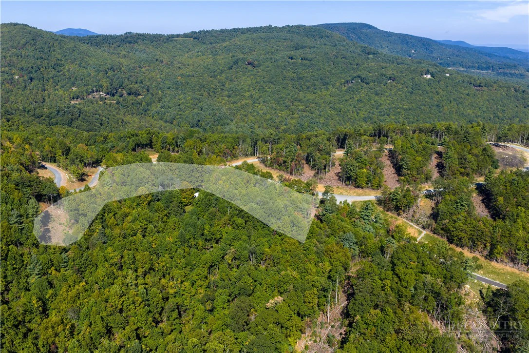 Image number 16 for the current listing