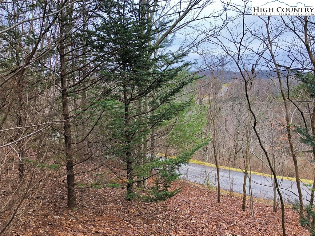 Image number 21 for the current listing