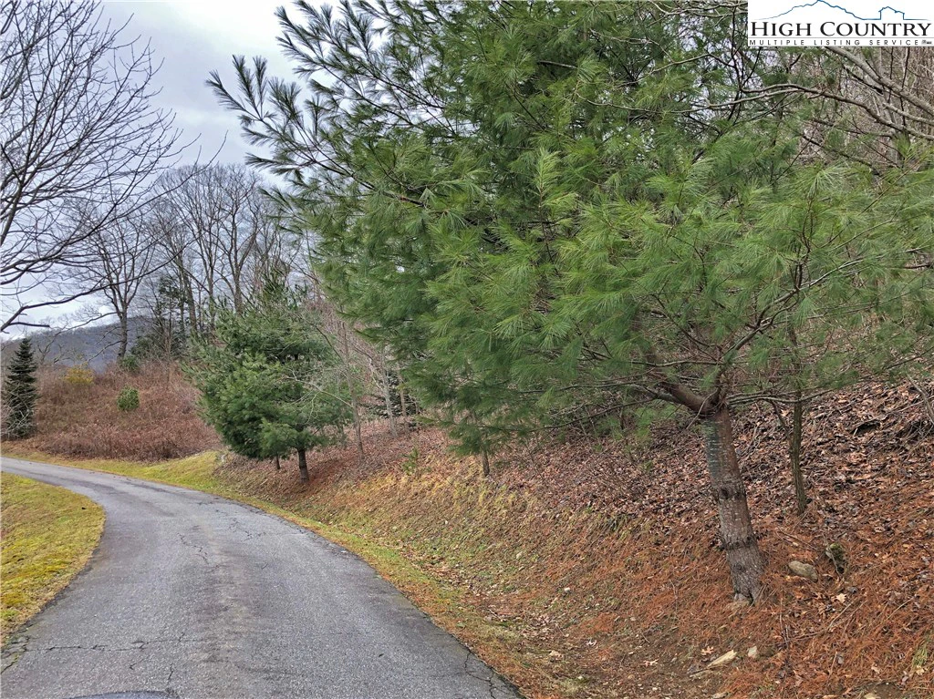 Image number 12 for the current listing
