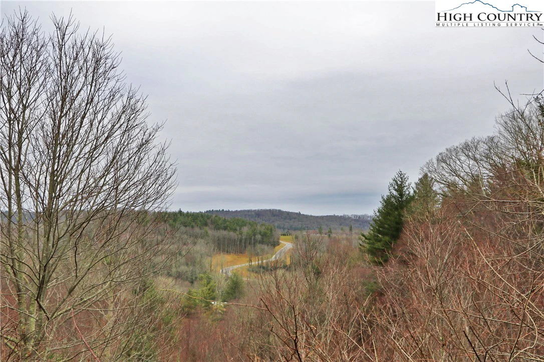 Image number 16 for the current listing