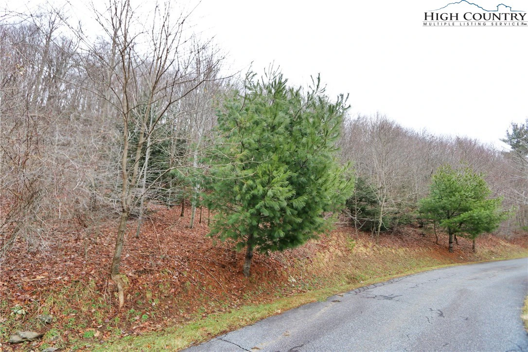 Image number 8 for the current listing