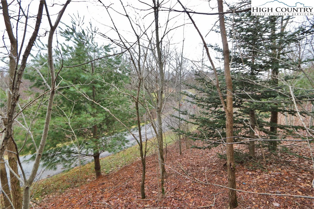 Image number 15 for the current listing