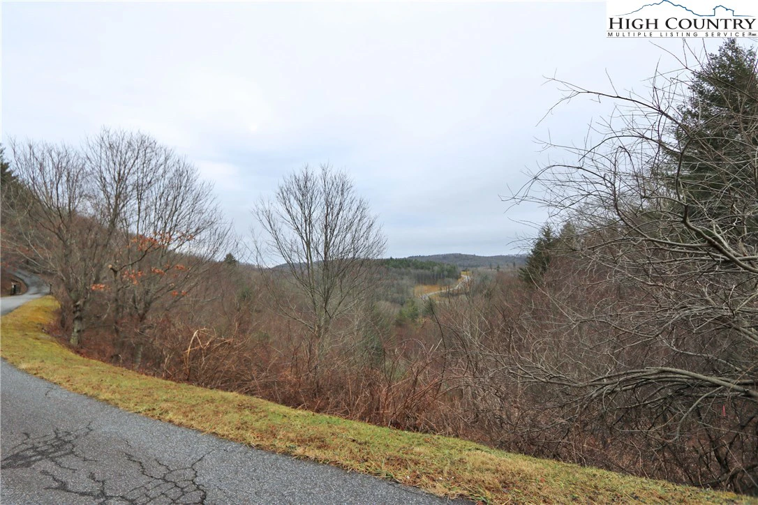 Image number 17 for the current listing