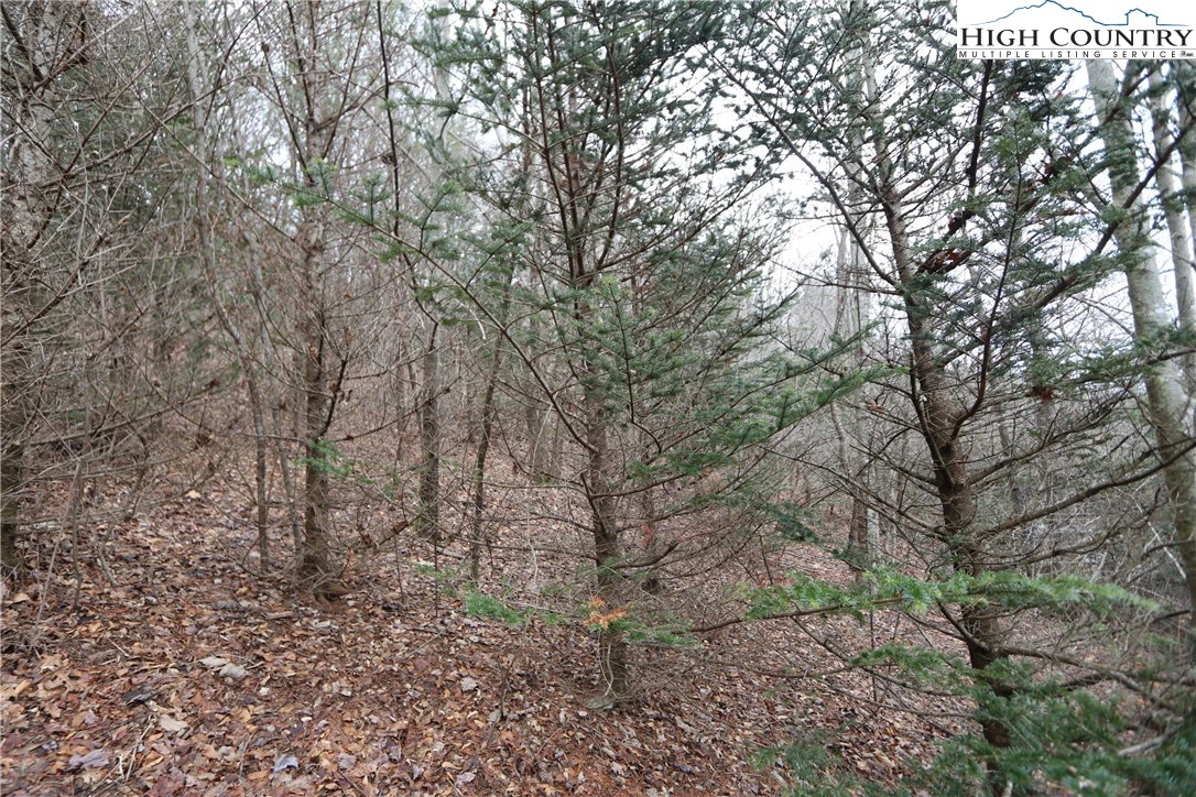 Image number 14 for the current listing