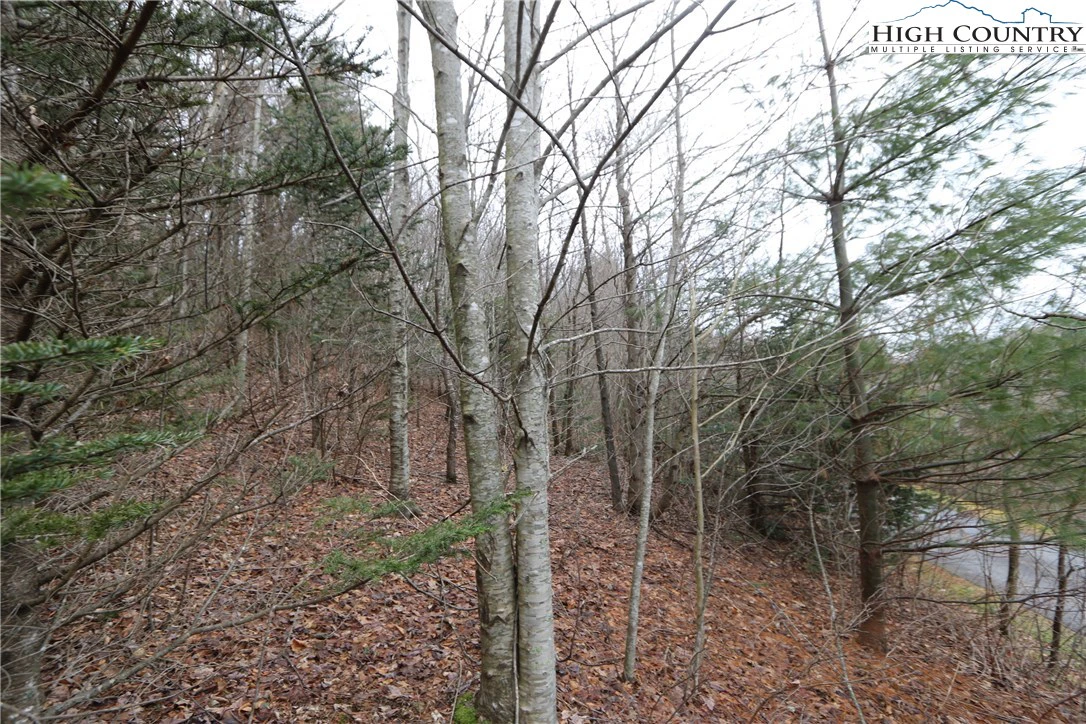Image number 13 for the current listing