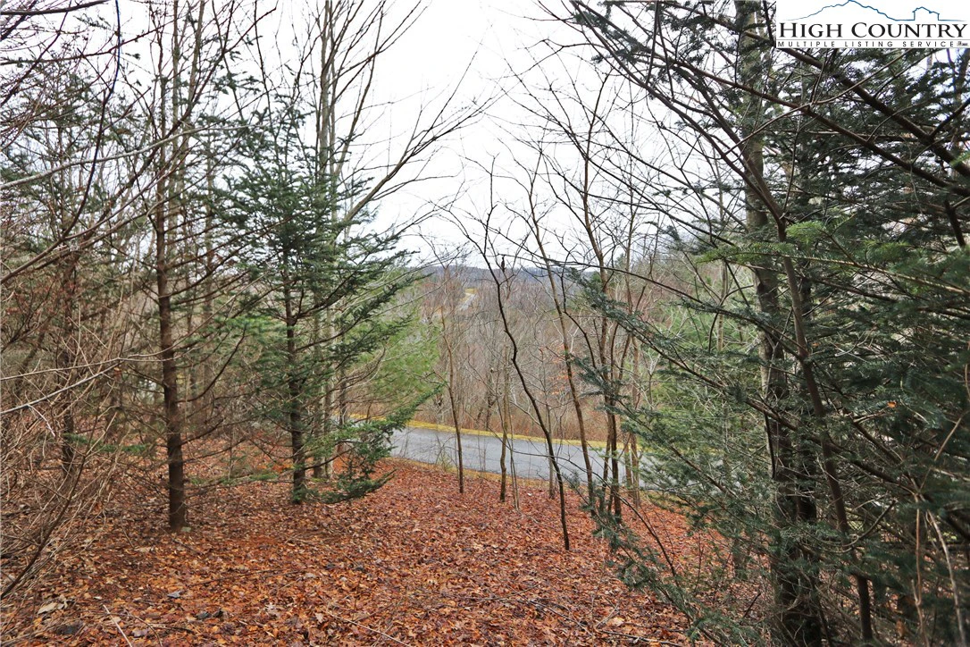 Image number 2 for the current listing