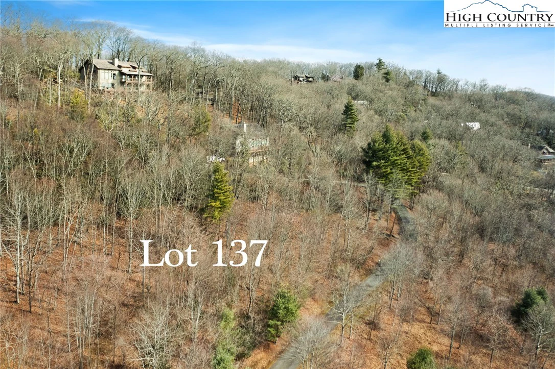 Image number 20 for the current listing