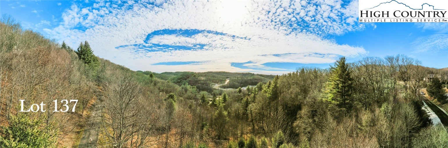 Image number 19 for the current listing