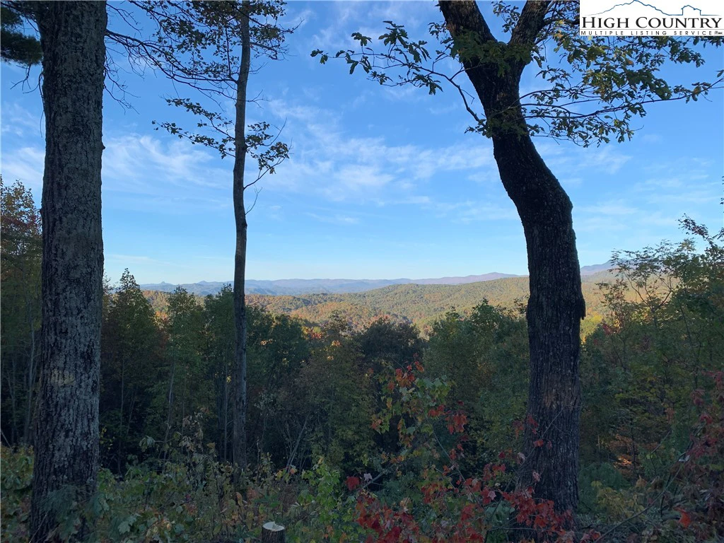 Image number 6 for the current listing