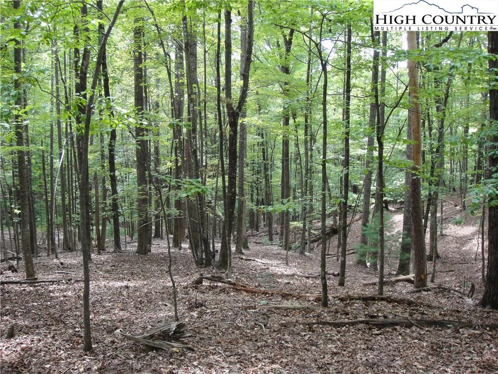 Image number 1 for the current listing