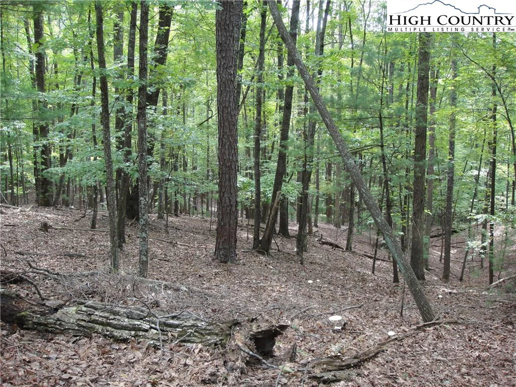 Image number 17 for the current listing