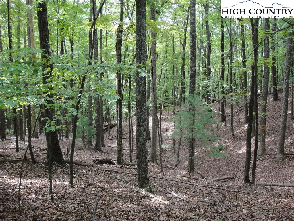 Image number 16 for the current listing
