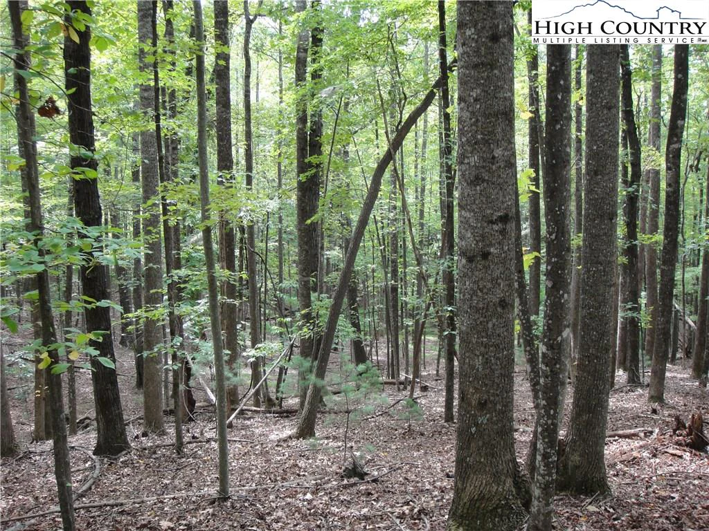 Image number 15 for the current listing