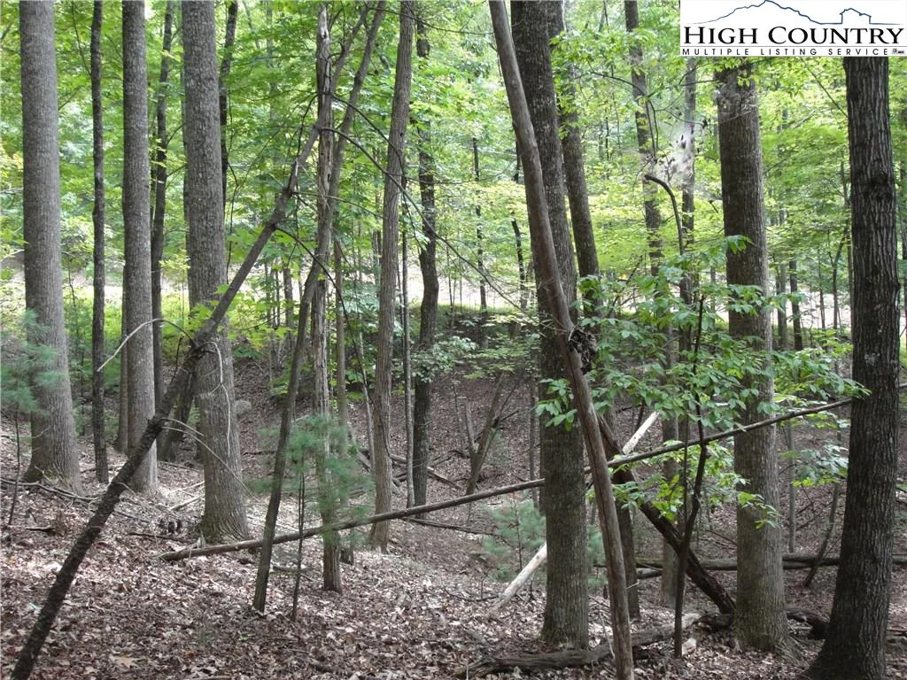 Image number 2 for the current listing