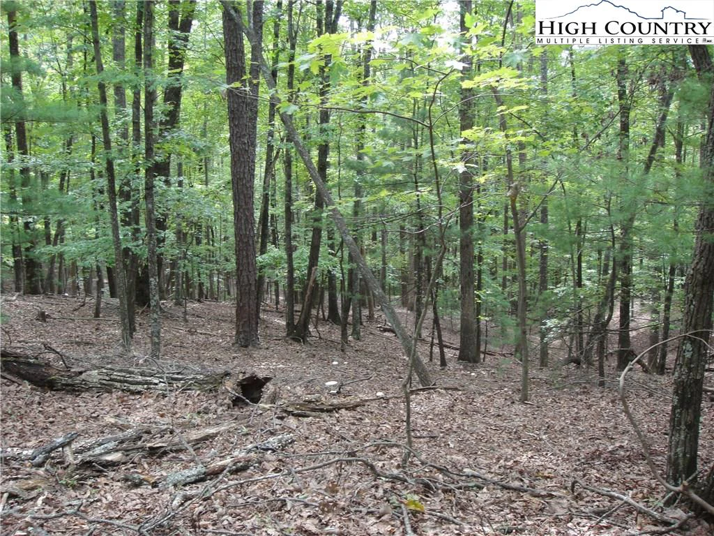 Image number 14 for the current listing