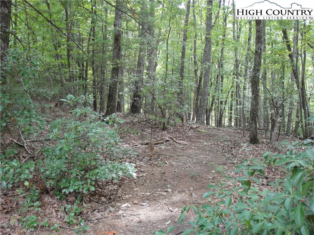 Image number 13 for the current listing