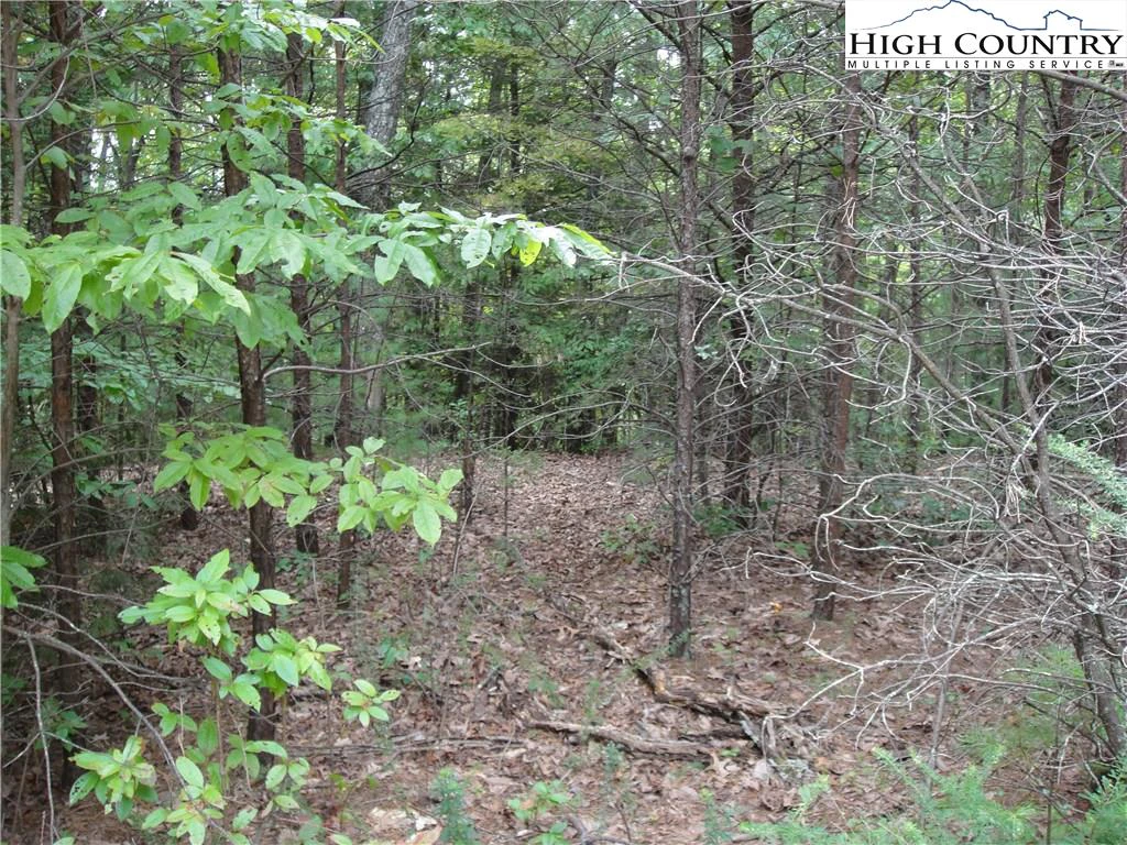 Image number 12 for the current listing