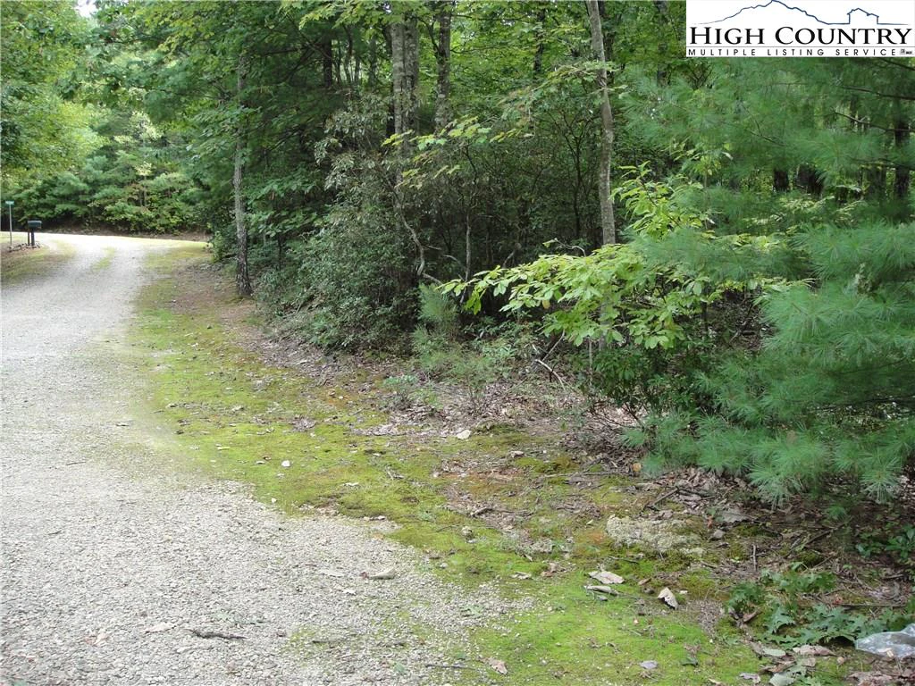 Image number 11 for the current listing