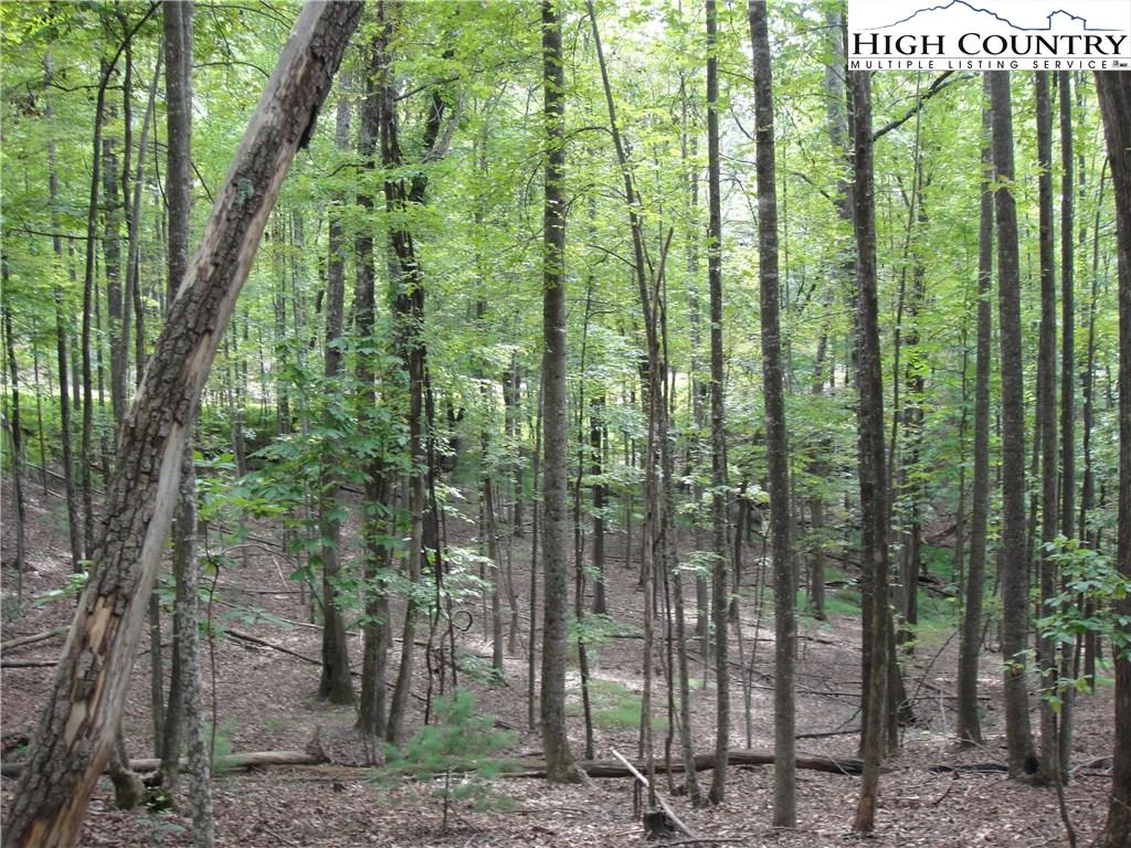Image number 22 for the current listing