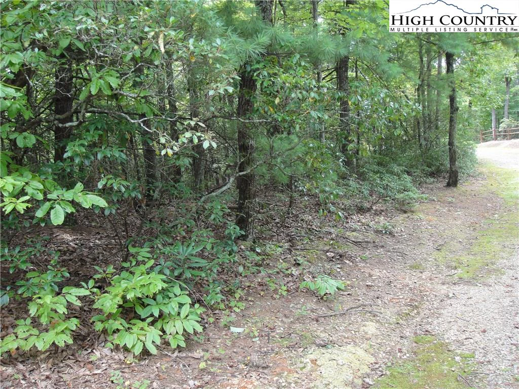 Image number 20 for the current listing