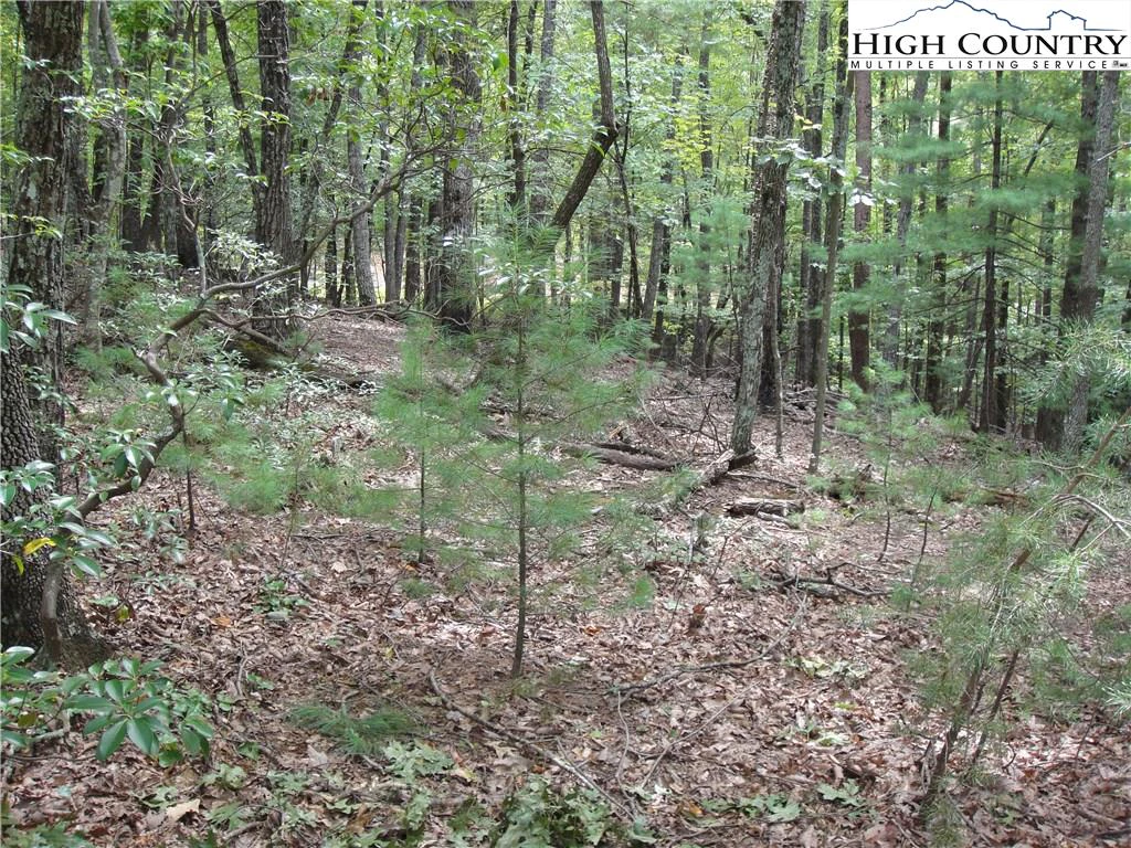 Image number 19 for the current listing