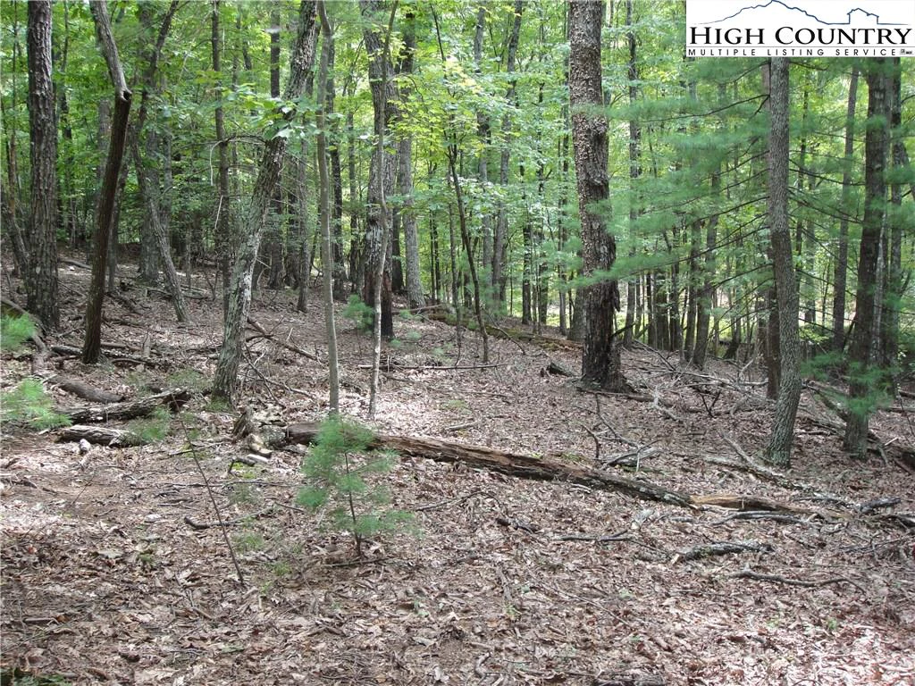 Image number 18 for the current listing