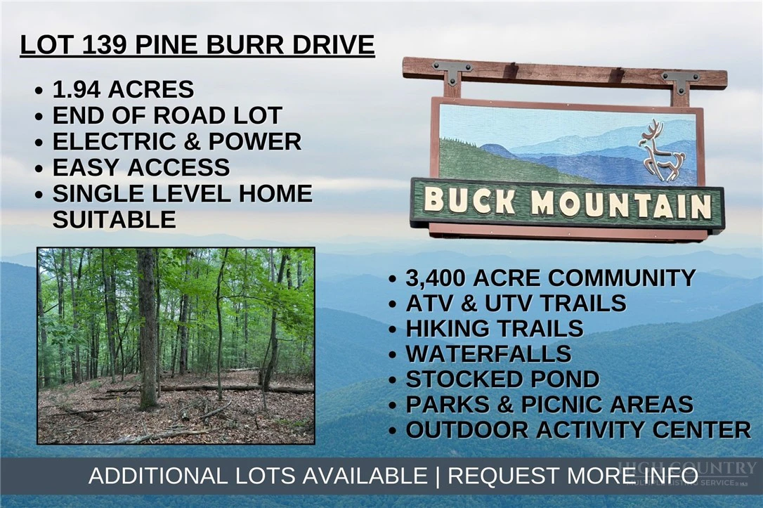 Image number 1 for the current listing