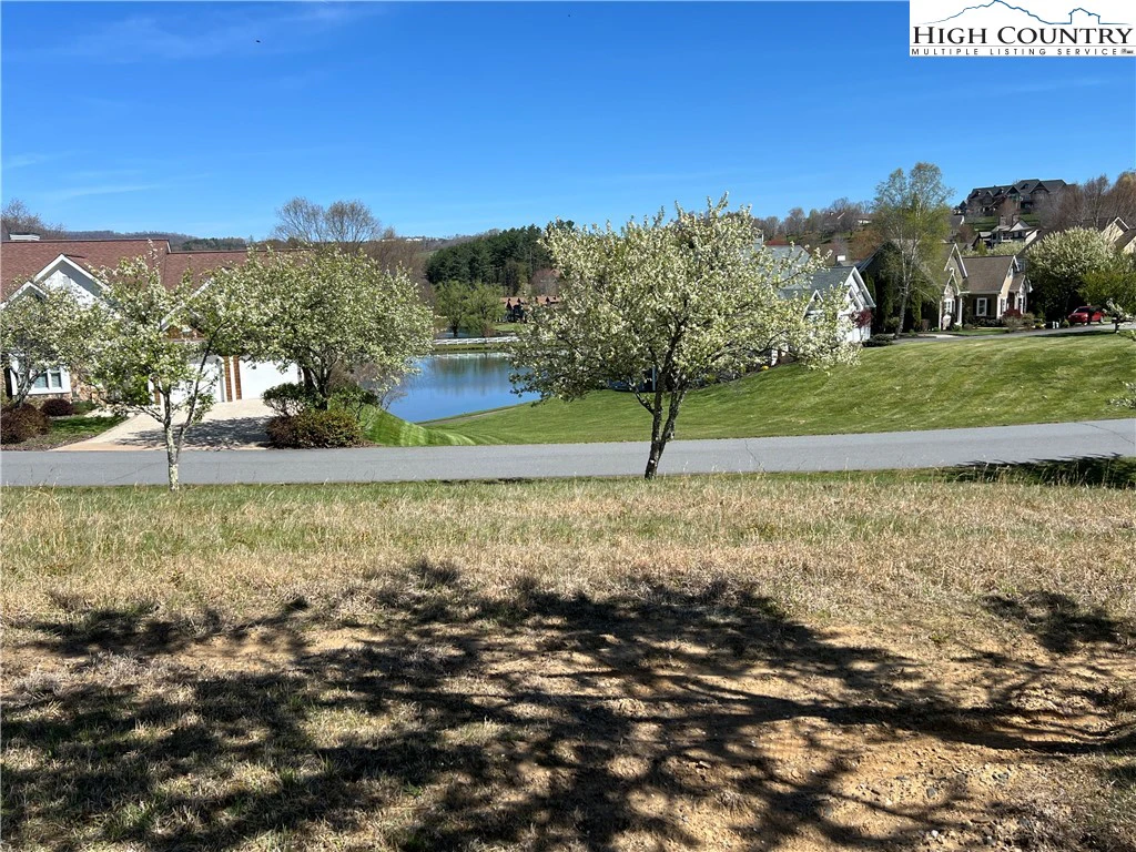 Image number 1 for the current listing