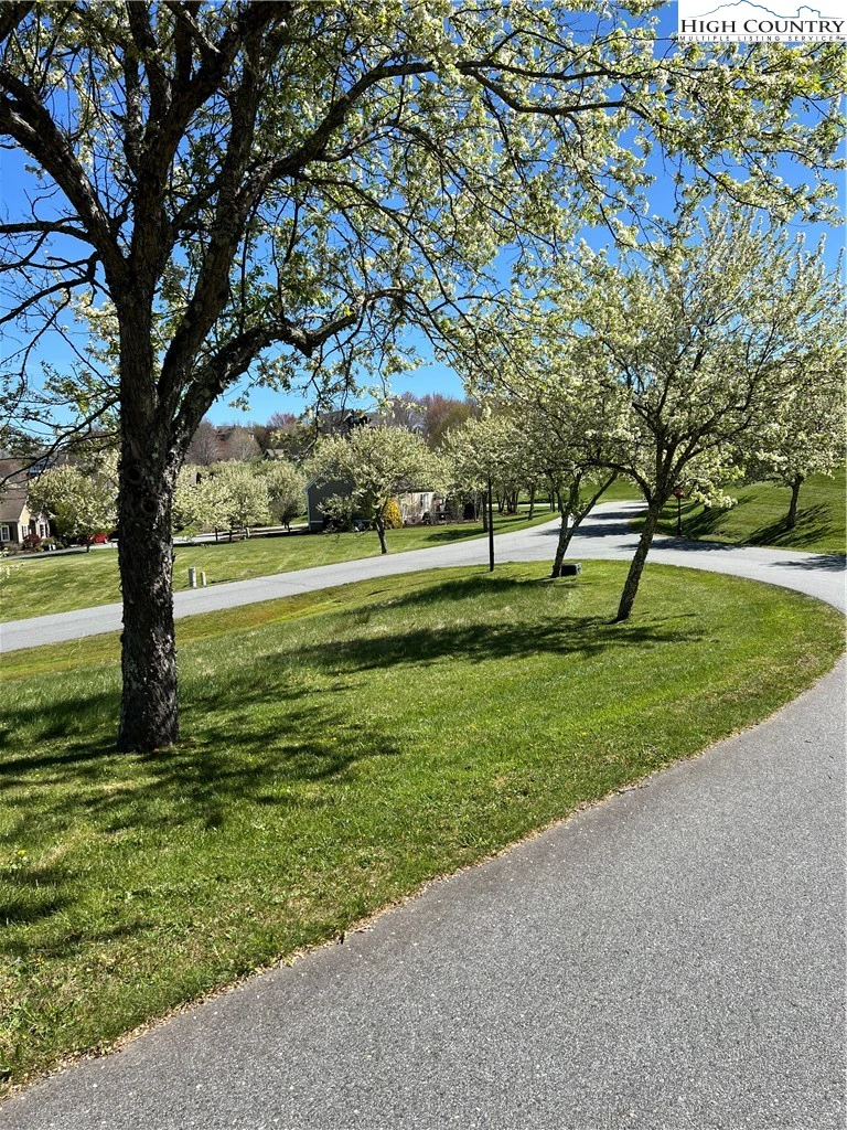 Image number 2 for the current listing