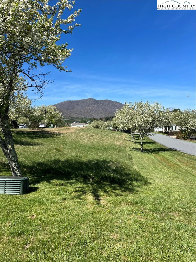 Image number 4 for the current listing