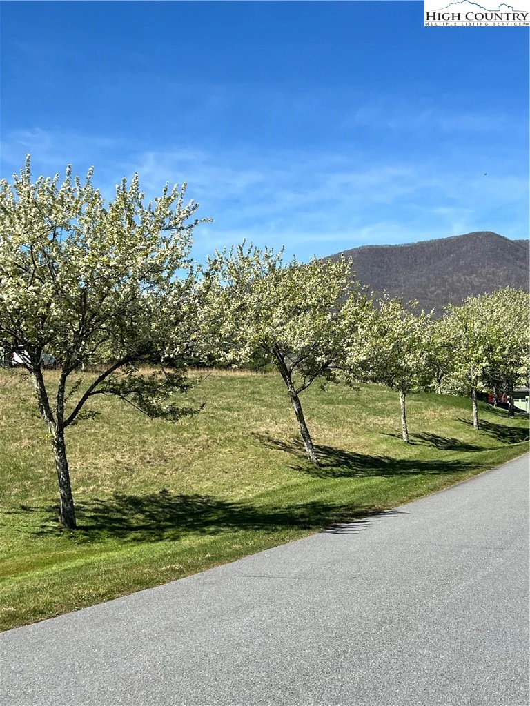 Image number 5 for the current listing