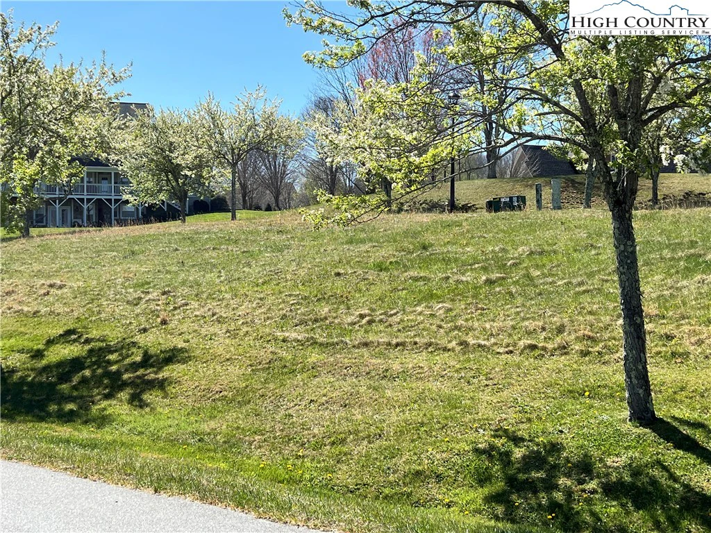 Image number 6 for the current listing