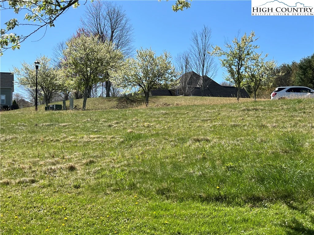 Image number 7 for the current listing