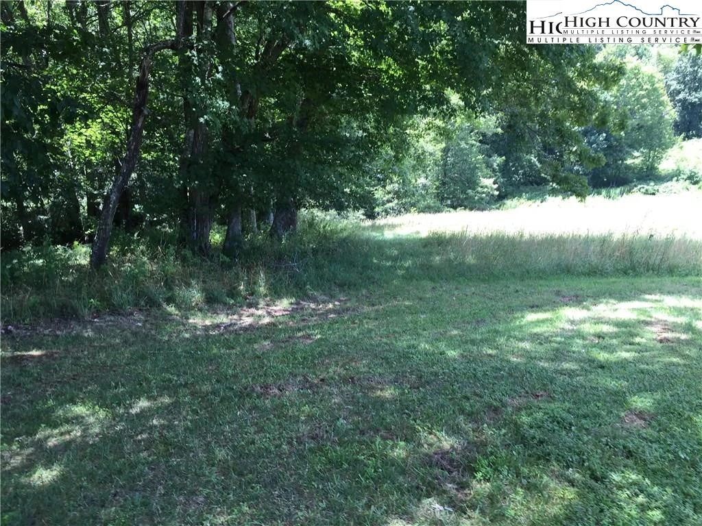 Image number 4 for the current listing