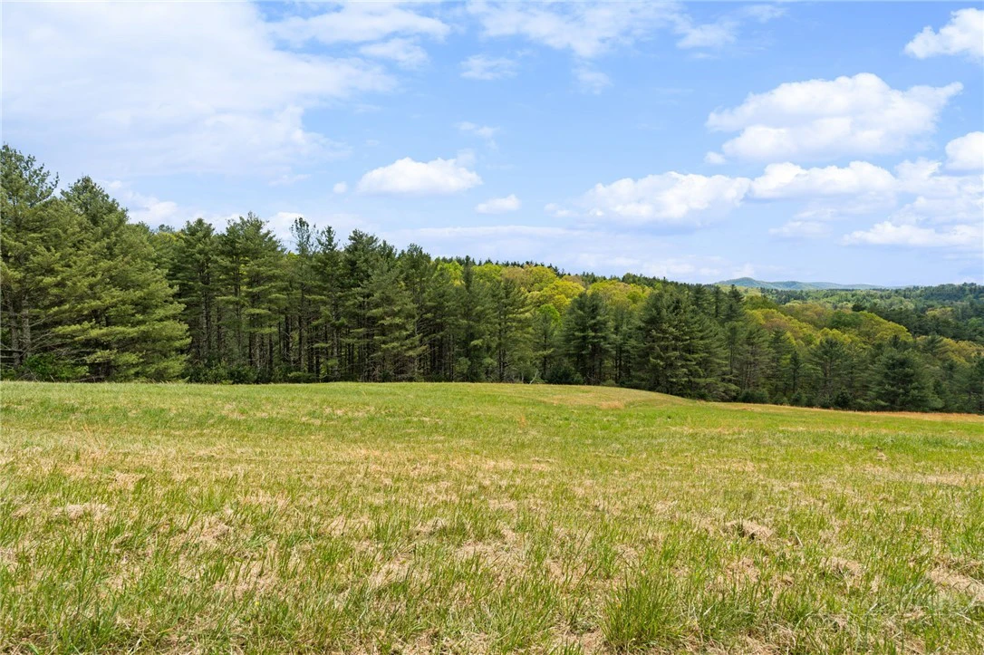 Image number 1 for the current listing