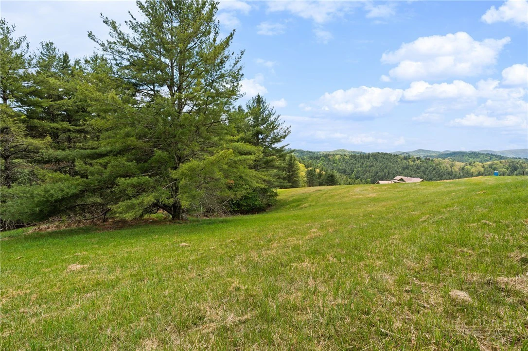 Image number 21 for the current listing