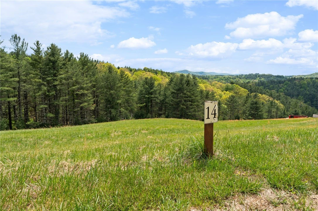 Image number 19 for the current listing