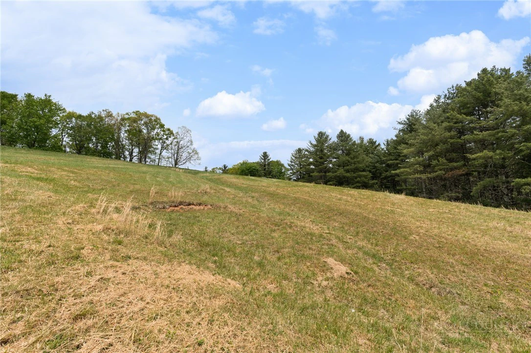 Image number 16 for the current listing