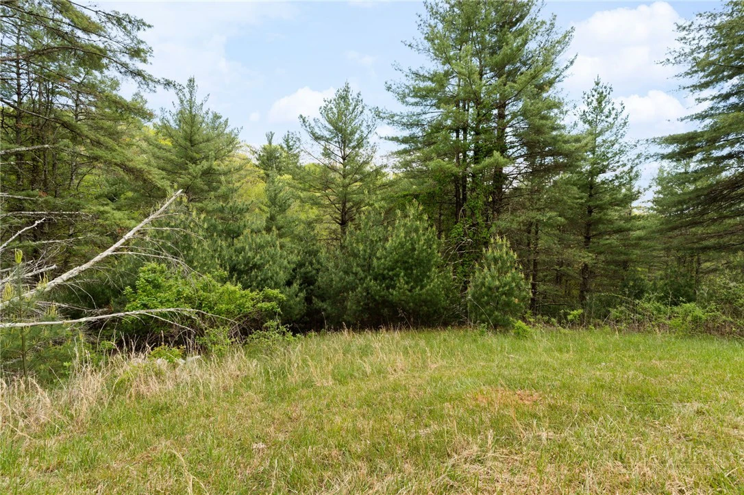 Image number 14 for the current listing